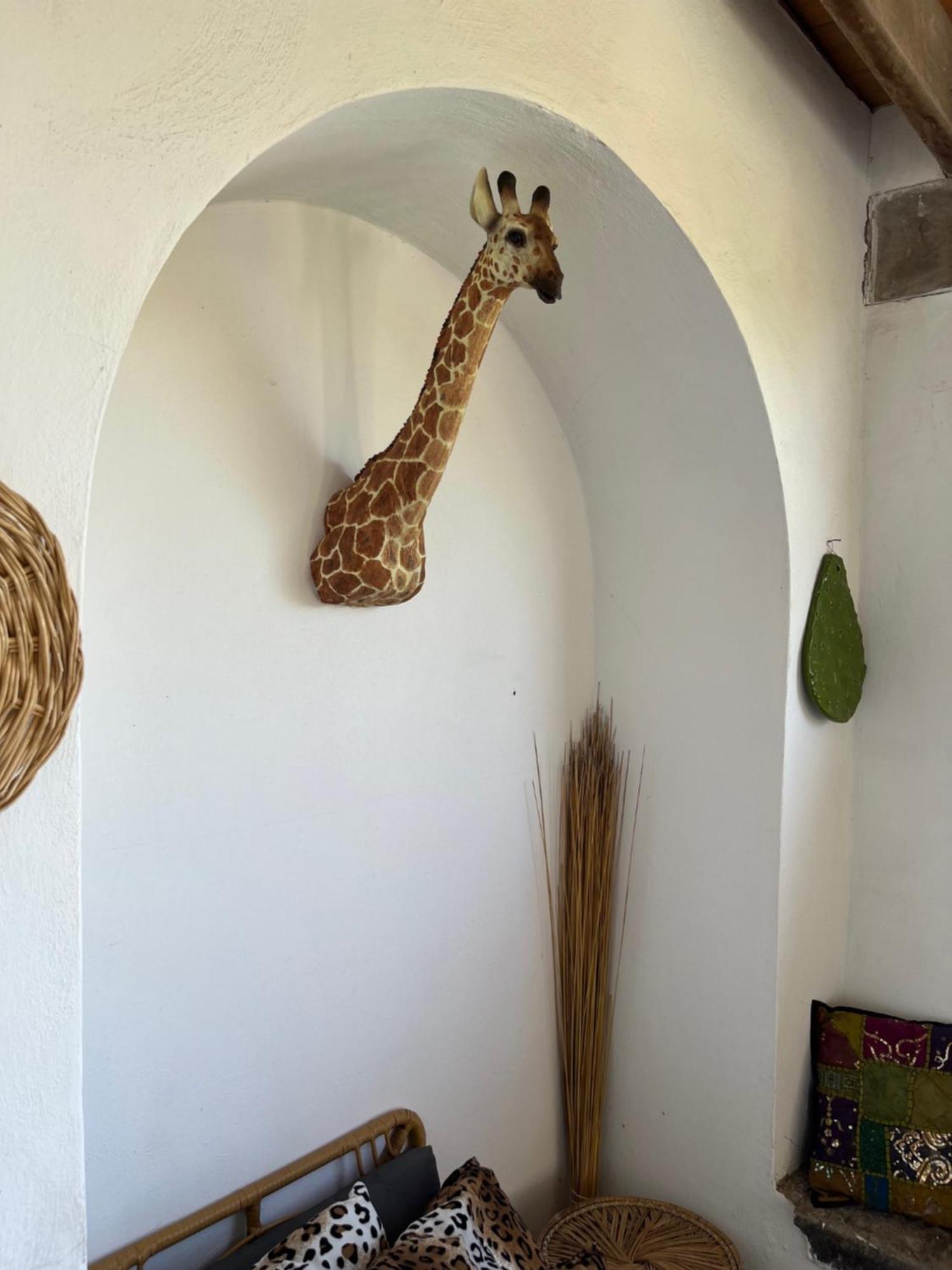 Villa Manni Procida Zewnętrze zdjęcie