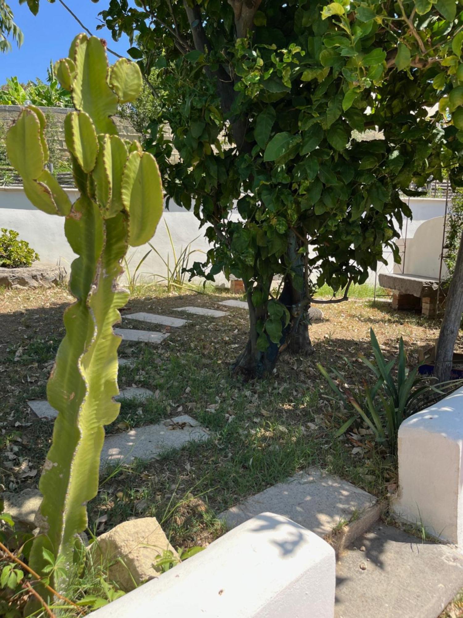 Villa Manni Procida Zewnętrze zdjęcie