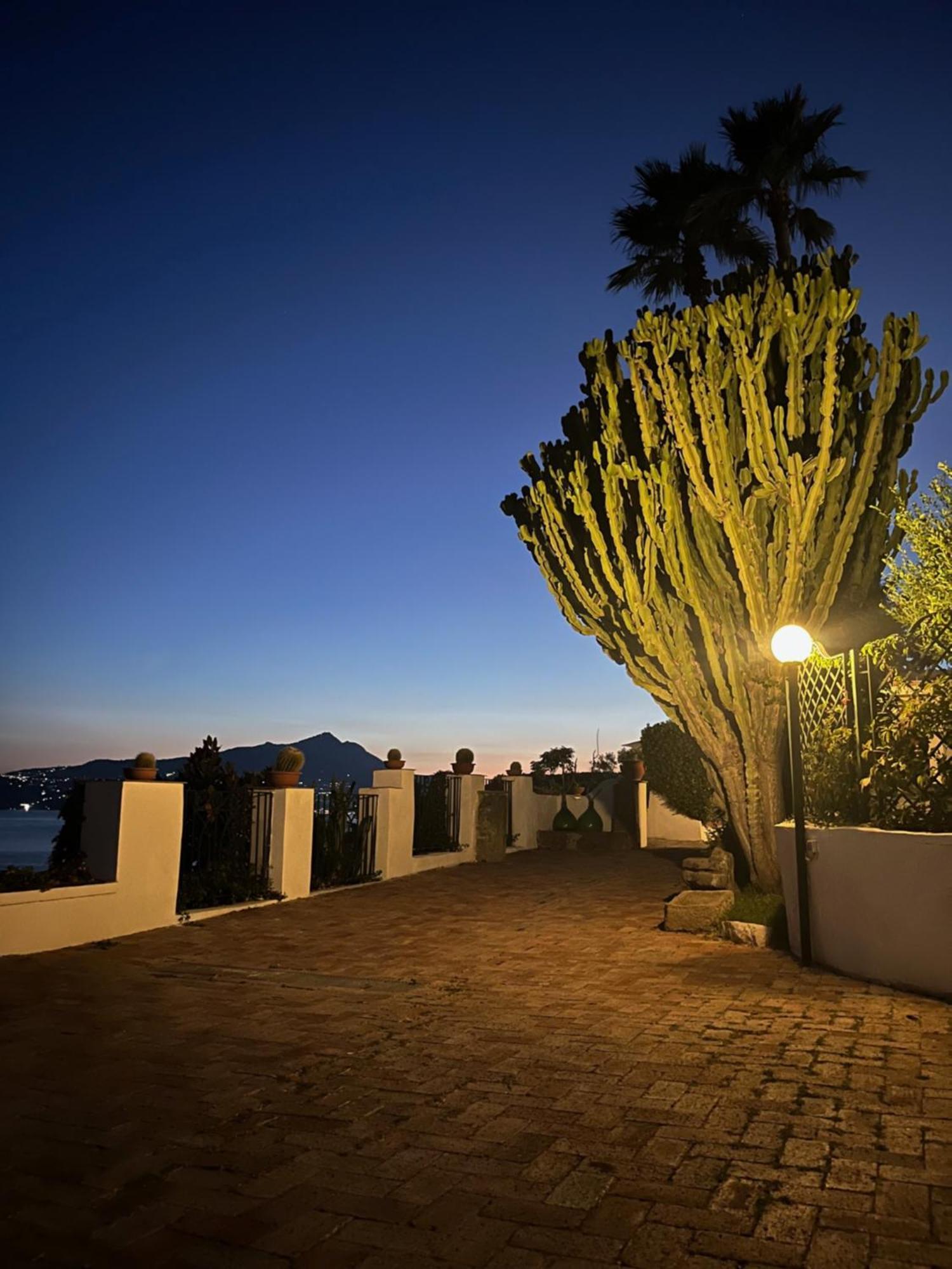 Villa Manni Procida Zewnętrze zdjęcie