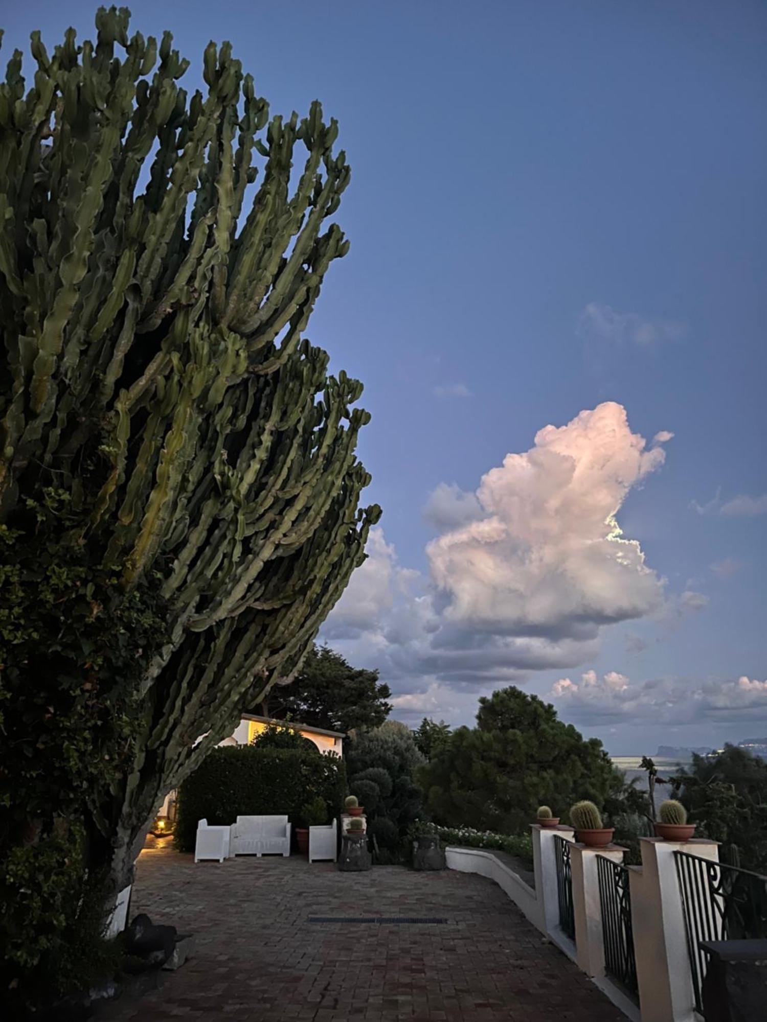 Villa Manni Procida Zewnętrze zdjęcie
